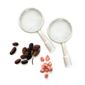 Science kits